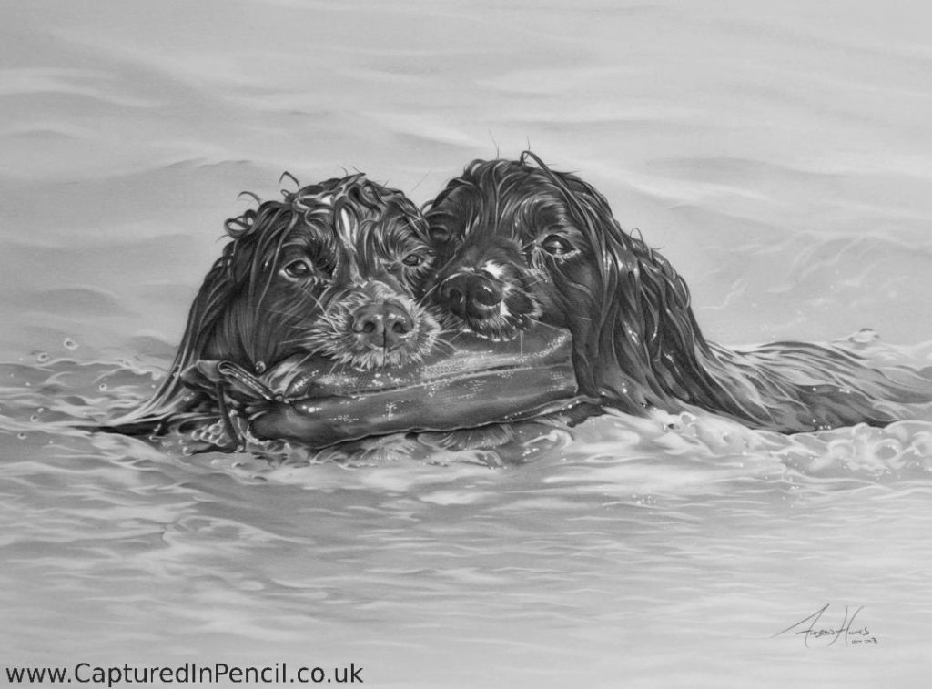 Two dogs in water