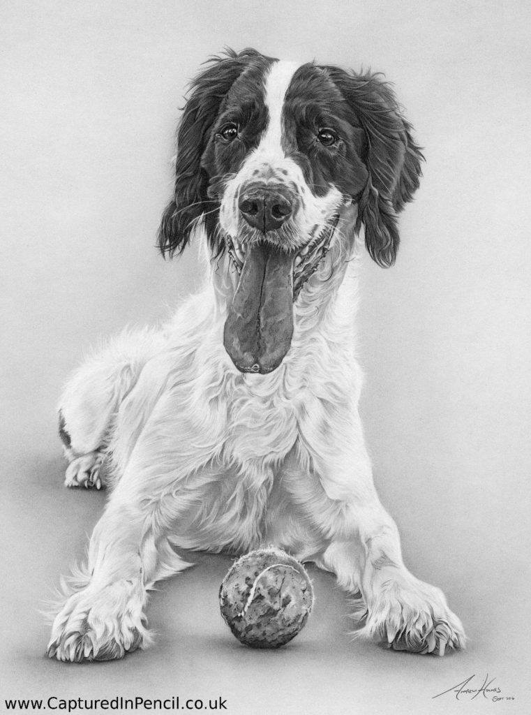 Dog with ball panting