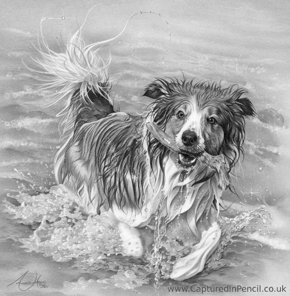 Dog in water